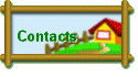 Contacts